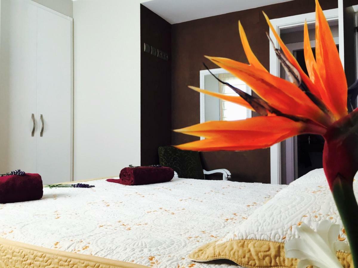 Lo Raconet Apartment Делтебре Екстериор снимка